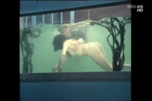 PDVD_030.jpg