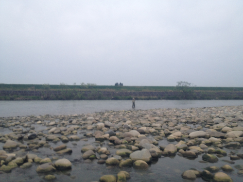 201205102055_4268_iphone.jpg
