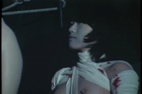 PDVD_024.jpg