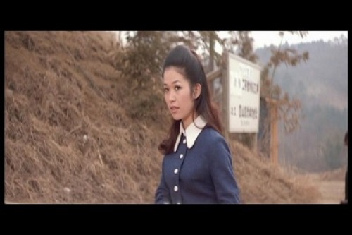PDVD_022.jpg