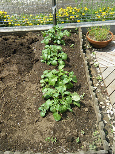 DSCF0571.jpg