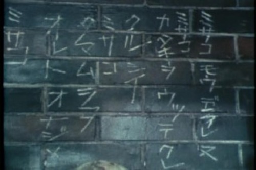 PDVD_175.jpg