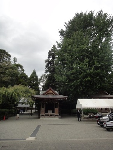 健軍神社 万田坑 気ままなgiorni 楽天ブログ