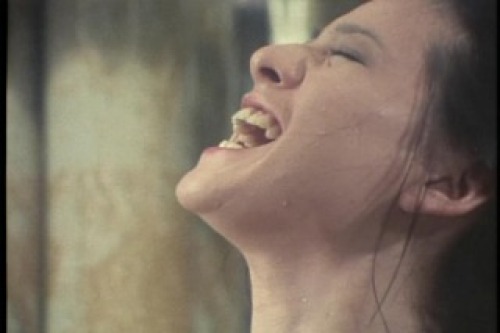 PDVD_104.jpg