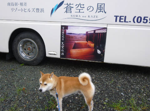 リゾート ヒルズ 豊浜 蒼空 の 風 ペット