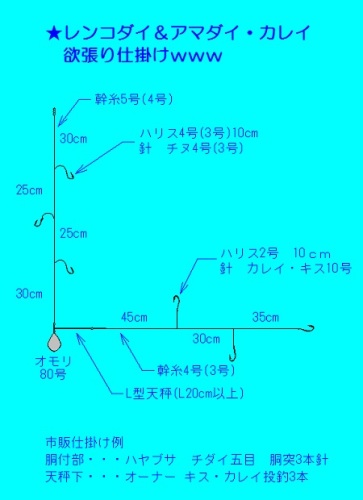 レンコダイ釣りつつ アマダイ狙う欲張り仕掛け Blue Marine と 海で遊ぼう 楽天ブログ