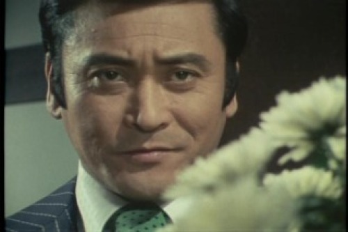PDVD_214.jpg