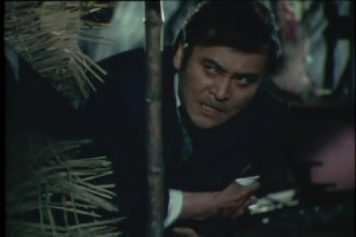 PDVD_085.jpg