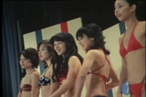 PDVD_009.jpg