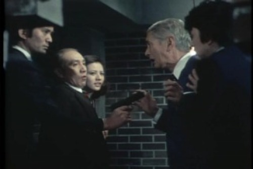 PDVD_176.jpg