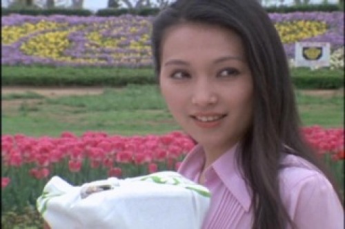 PDVD_027.jpg