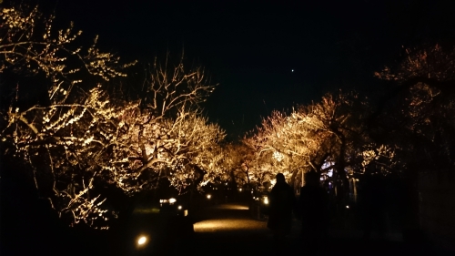 CYMERA_20170323_181416.jpg