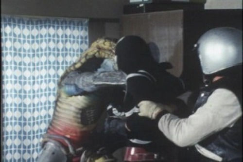 PDVD_016.jpg