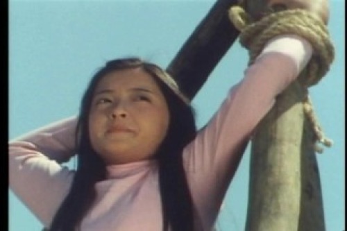 PDVD_131.jpg