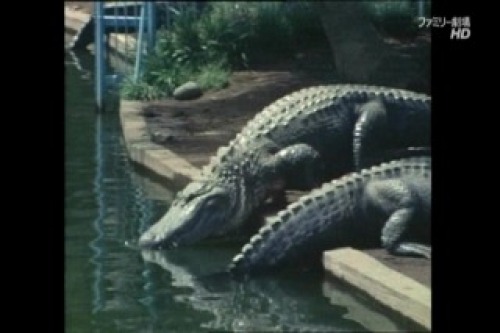 PDVD_020.jpg