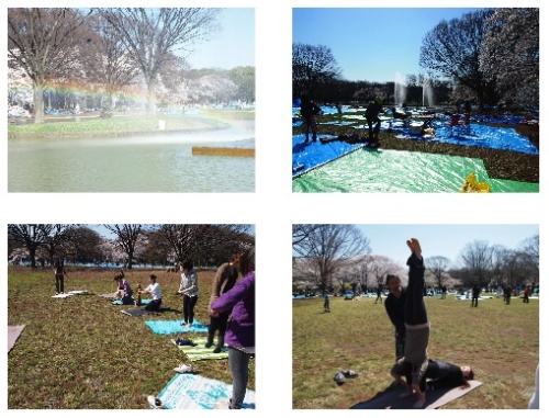 yoyogi01.jpg