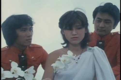 PDVD_020.jpg