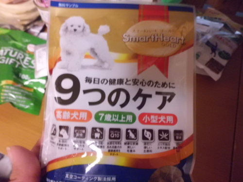 CIMG1790スマートゴールド.JPG