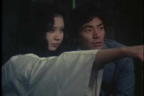 PDVD_122.jpg