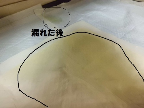 CIMG2102シーツ.JPG