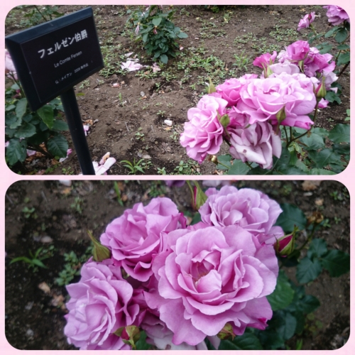 CYMERA_20160611_085004.jpg