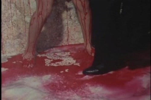 PDVD_055.jpg