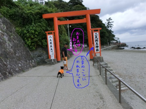 玉の輿?.jpg