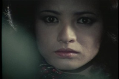 PDVD_211.jpg