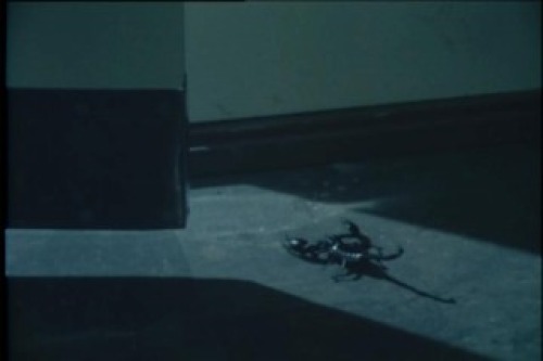 PDVD_129.jpg