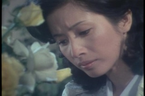 PDVD_021.jpg