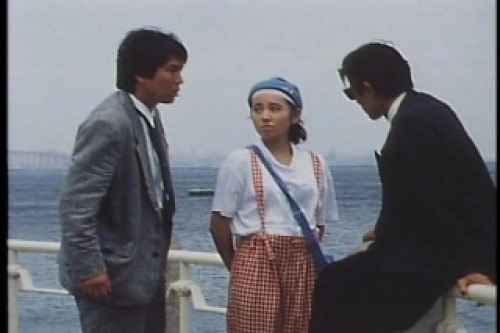 PDVD_018.jpg