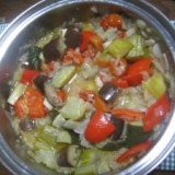 野菜たっぷりにんにく入りピクルス