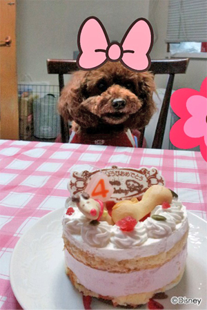 2012.6.16-1.jpg