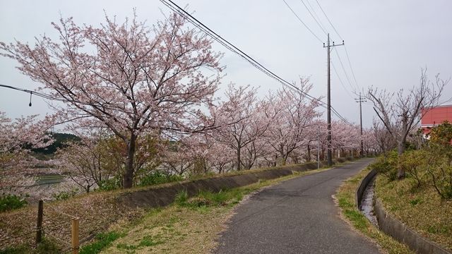 2016-04-10 12.41.41.jpg