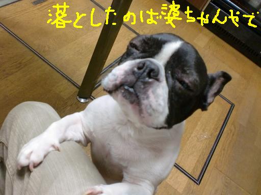 aご飯 001.jpg