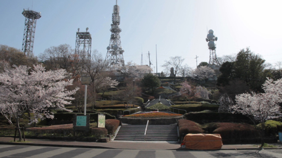 眉山公園の桜 あわの抄ブログにようこそ 楽天ブログ