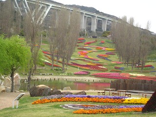 IMG_6087.jpg