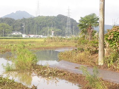 DSCN9420.jpg