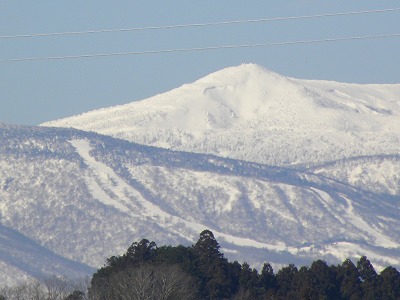 DSCN7425.jpg