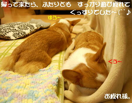031513.jpg