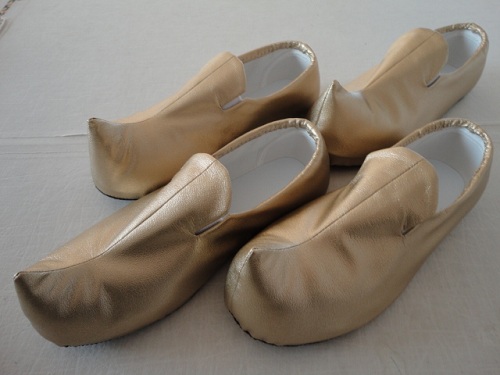 アシームとシャバーンの靴 わたしのブログ By Colycoly 楽天ブログ
