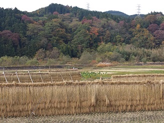 ご当地食材 はんでえ米 | ART'S FACTORY～群馬県高崎市の小さなバイク屋さん～ - 楽天ブログ