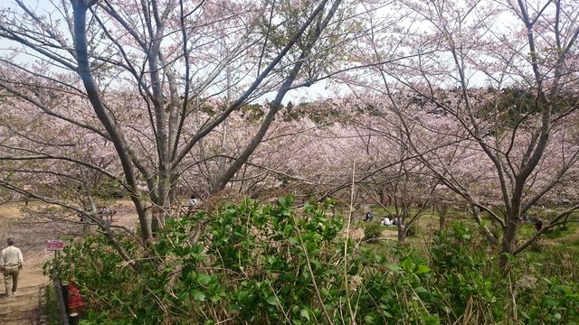 2016-04-10 12.00.27.jpg