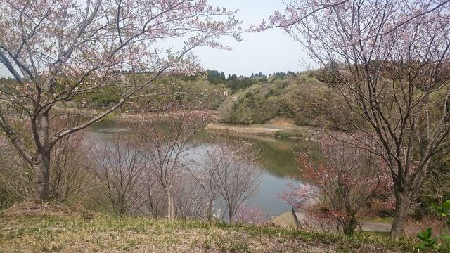 2016-04-10 12.00.58.jpg