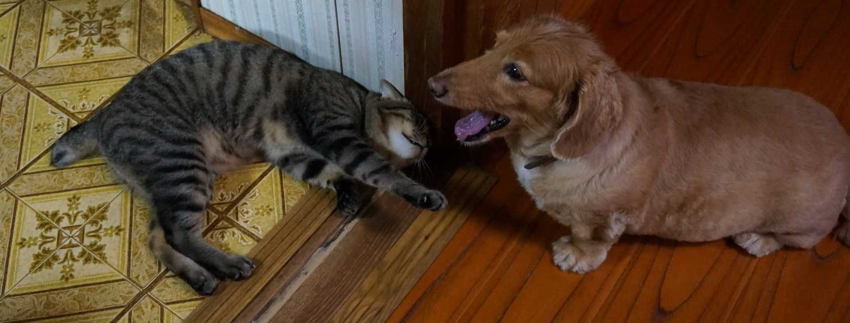 ヨッシイのブログ