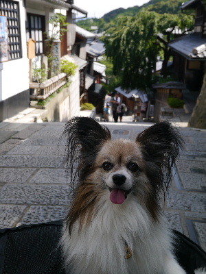 2012京都夏16.JPG