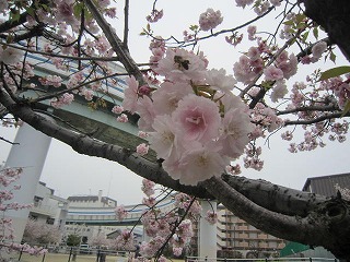 IMG_6194.jpg