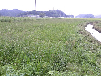 DSCN9196.jpg