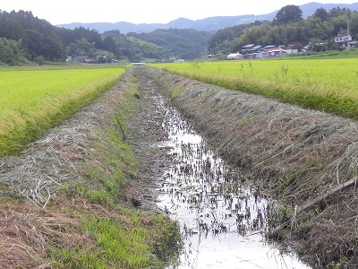 DSCN4530.jpg
