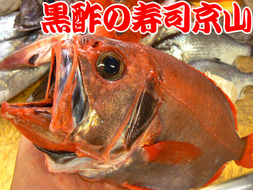 中央区 寿司 出前 築地